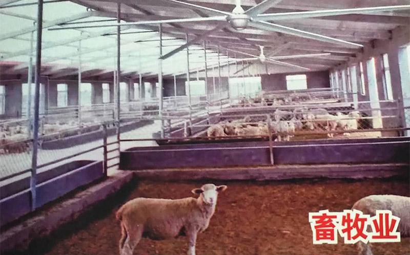 畜牧业大型吊扇